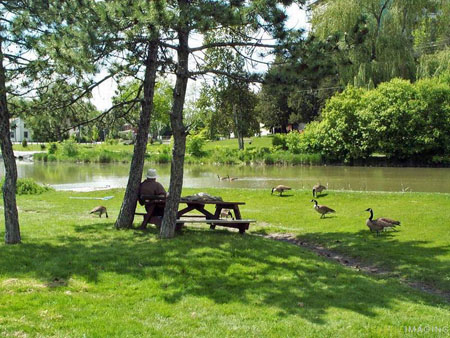 Fairy Lake in Newmarket Ontario