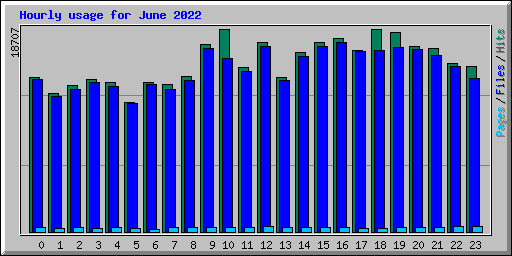 Hourly usage for June 2022